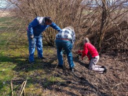 whatsapp image 2026-03-19 at 18.10.16